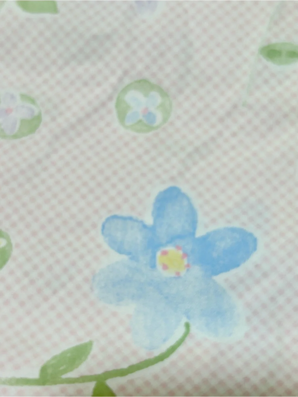 Pottery Barn Kids Gingham Floral Twin Bedding